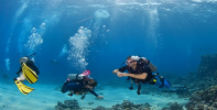 11638scuba-diving-lessons-2.jpg